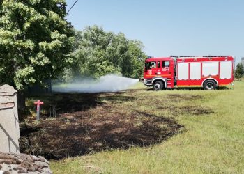 Paliła się trawa i palety