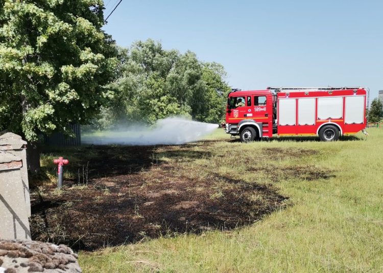 Paliła się trawa i palety