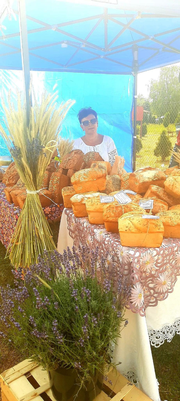 Festiwal Lawendy w Piotrowicach