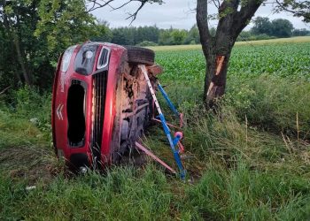 Wyleciał z drogi i uderzył w drzewo
