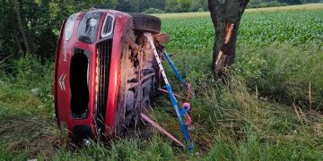 Wyleciał z drogi i uderzył w drzewo