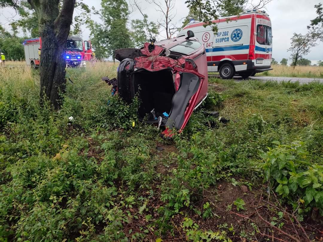 Wyleciał z drogi i uderzył w drzewo