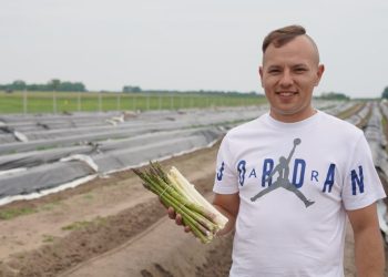 Postawił na szparagi. Nie żałuje