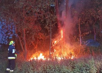 Paliło się w gminie Powidz