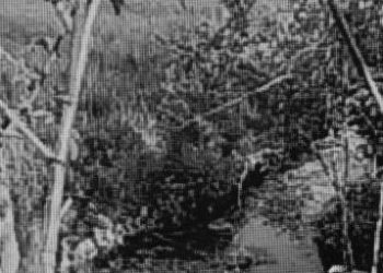 Wyczuwalny był nieprzyjemny zapach