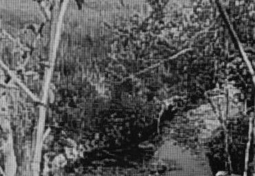 Wyczuwalny był nieprzyjemny zapach