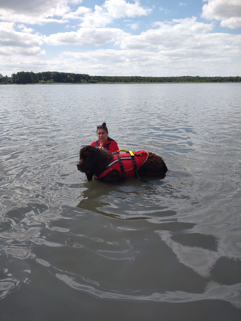 To w niedzielę działo się w Giewartowie