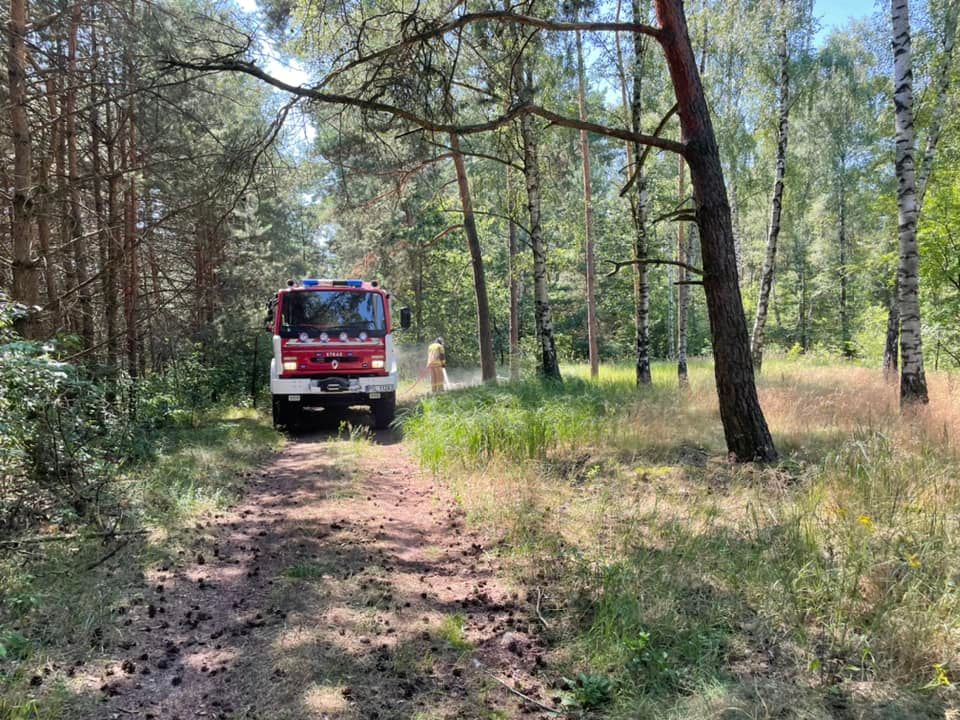 Strażacy chwalą turystów. „Takie zachowanie zasługuje na uznanie”