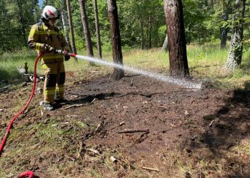 Strażacy chwalą turystów. „Takie zachowanie zasługuje na uznanie”
