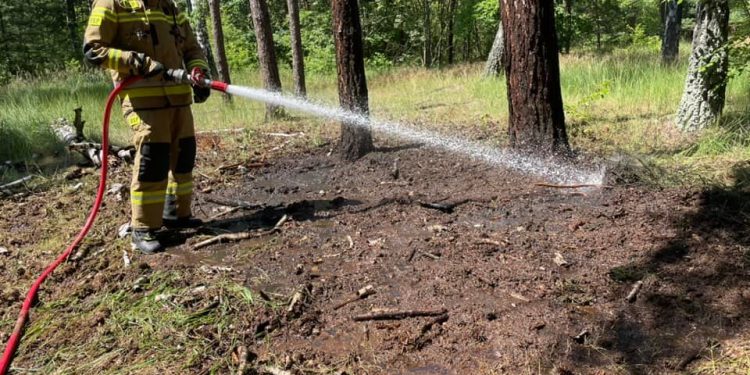 Strażacy chwalą turystów. „Takie zachowanie zasługuje na uznanie”