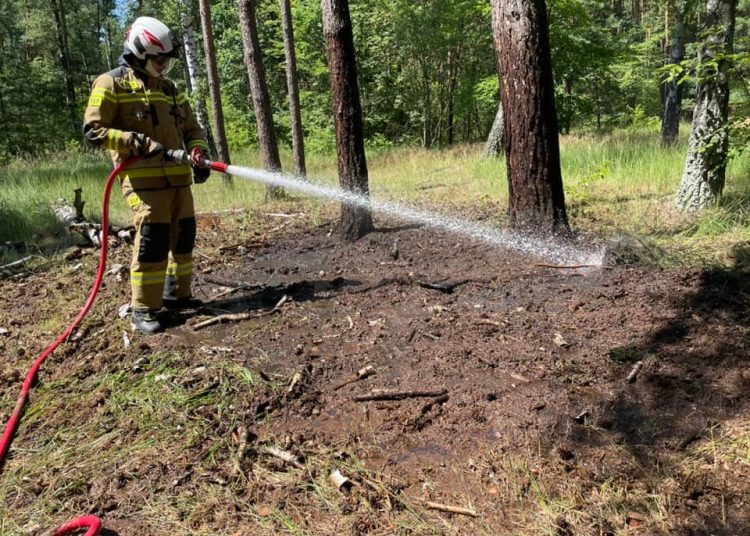 Strażacy chwalą turystów. „Takie zachowanie zasługuje na uznanie”