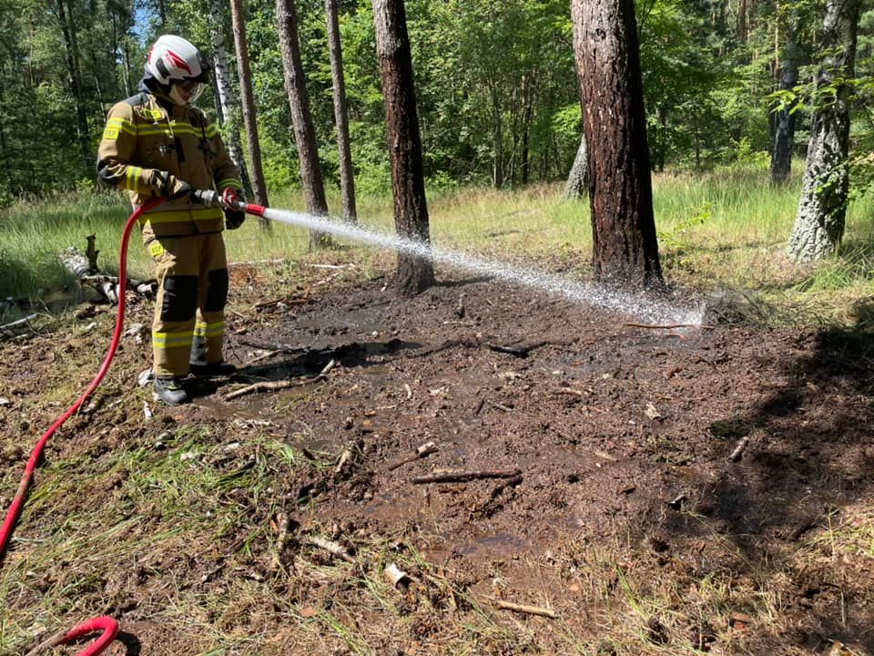 Strażacy chwalą turystów. „Takie zachowanie zasługuje na uznanie”