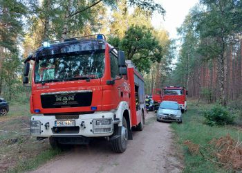 Wypadek w lesie. Motocyklista uderzył w drzewo
