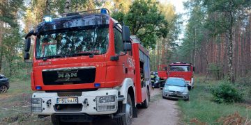 Wypadek w lesie. Motocyklista uderzył w drzewo