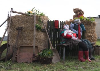 W dożynkowym klimacie. Do wygrania 1,5 tysiąca