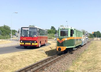 Zagórowski „Ryjek” zainspirował poznańskiego farmaceutę