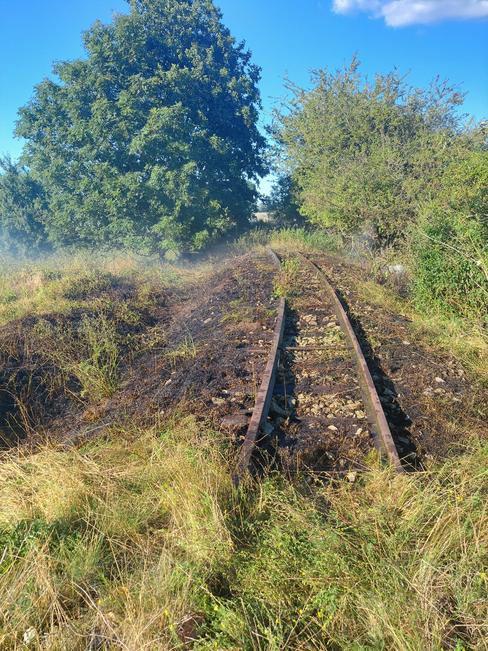Paliła się trawa w Charbinie