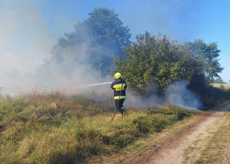 Paliła się trawa w Charbinie