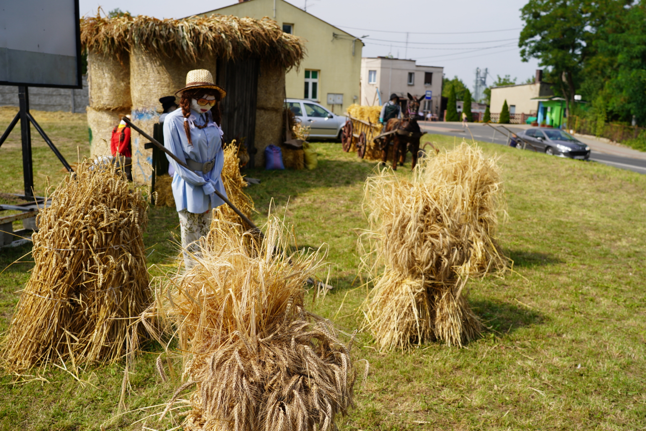 Odpust w Ostrowitem. Zobacz zdjęcia