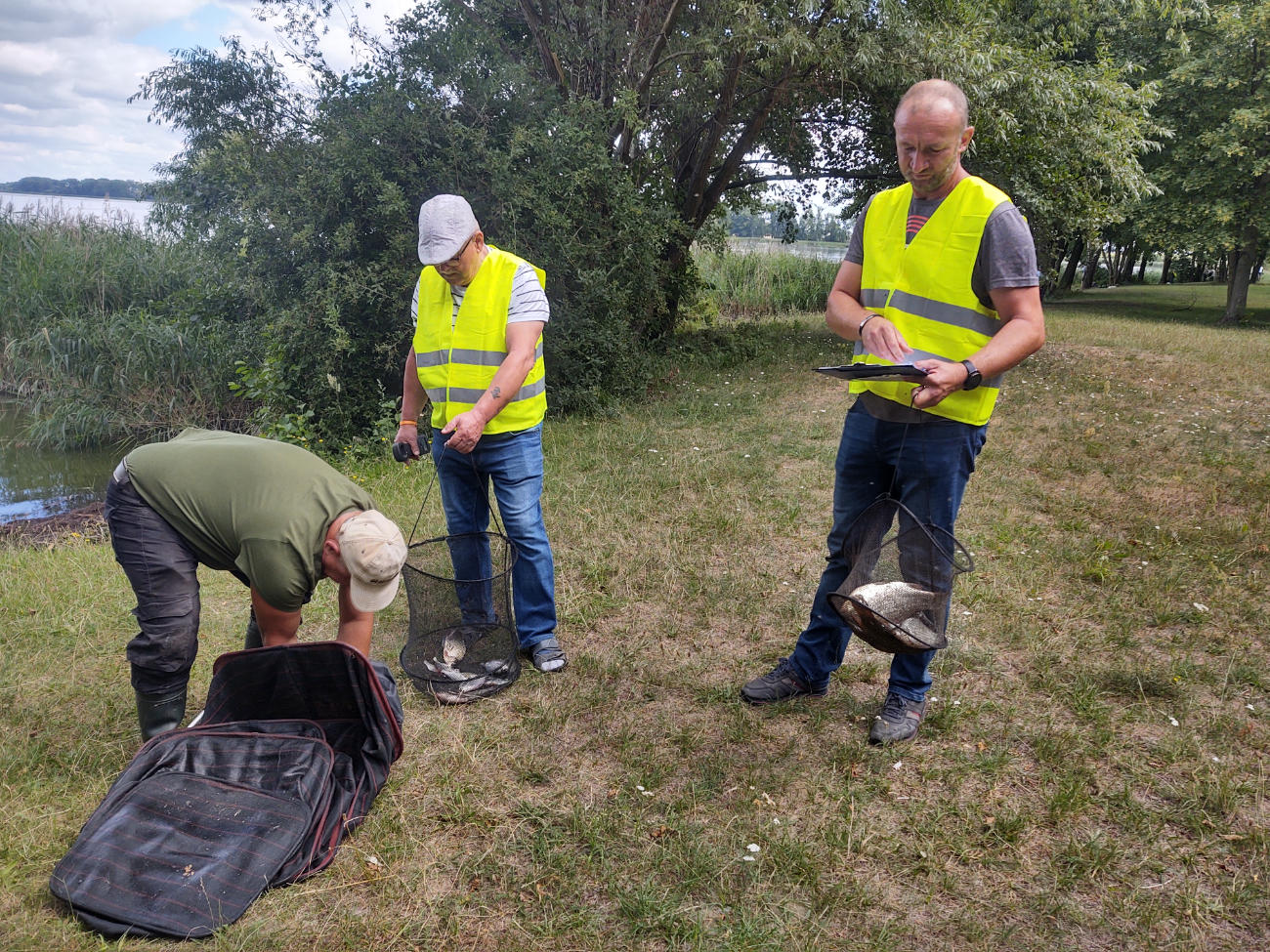 Wawrzynkowe łowienie. Sprawdź wyniki
