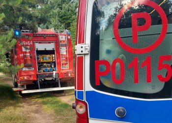 Tragedia na działce letniskowej. Mężczyzna nie żyje