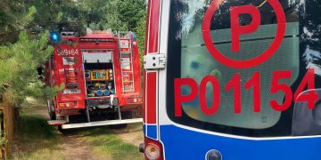Tragedia na działce letniskowej. Mężczyzna nie żyje