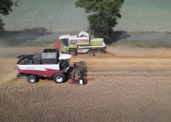 Żniwa nagrane z drona. Zobacz film