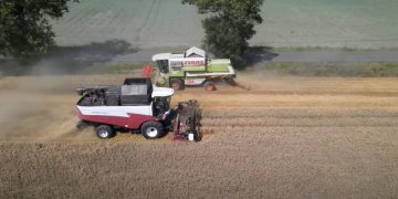 Żniwa nagrane z drona. Zobacz film