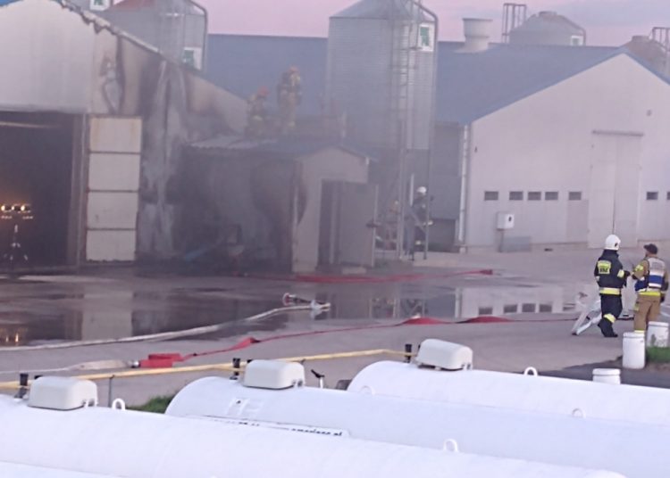 Płonął kurnik w Borkach