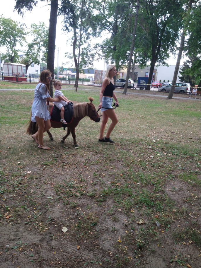 Tłumy na dożynkach parafialnych w Ciążeniu