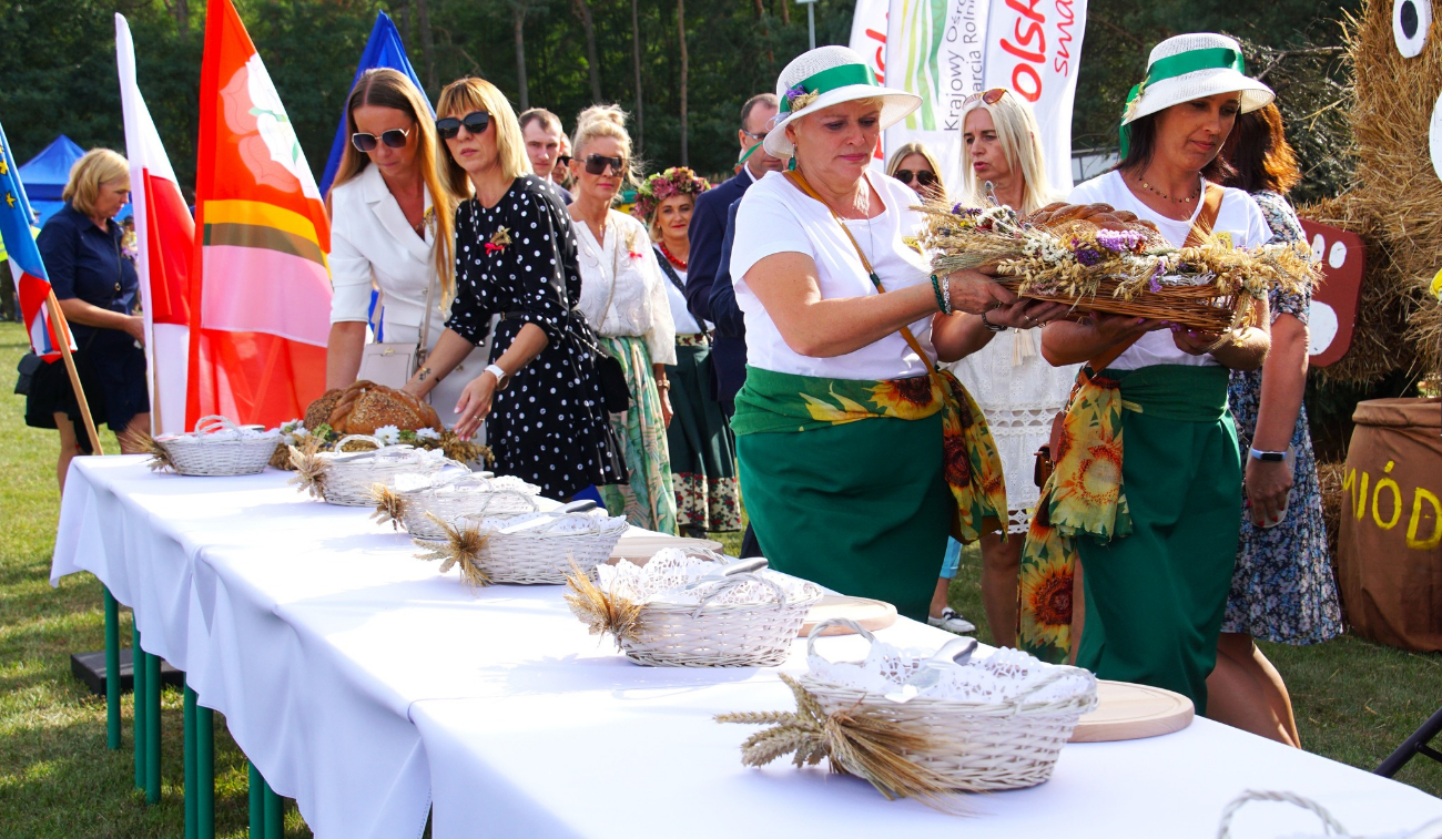 Dożynki powiatowe w obiektywie. Zobacz zdjęcia