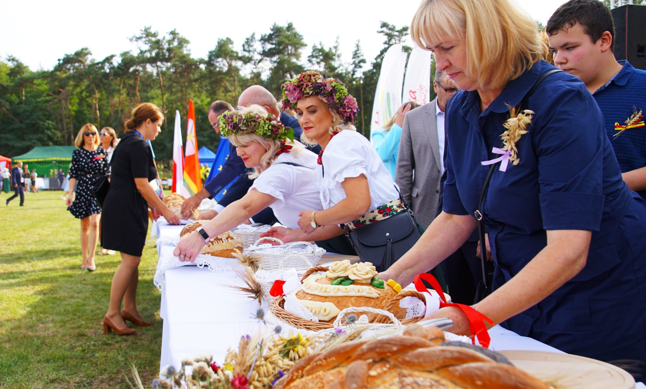 Dożynki powiatowe w obiektywie. Zobacz zdjęcia
