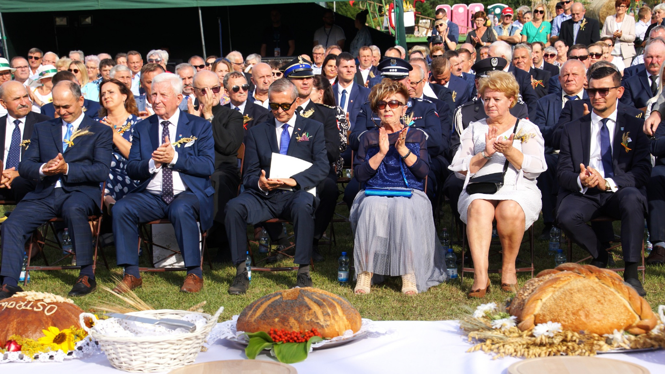Dożynki powiatowe w obiektywie. Zobacz zdjęcia