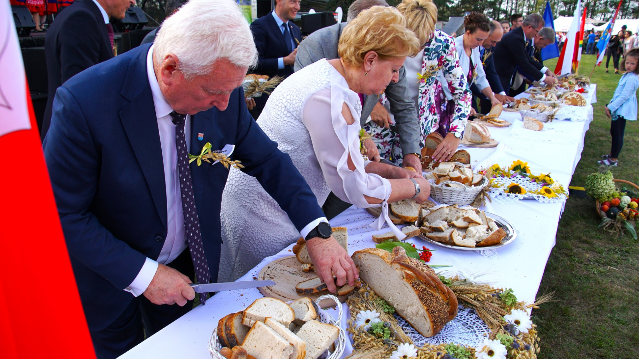 Dożynki powiatowe w obiektywie. Zobacz zdjęcia