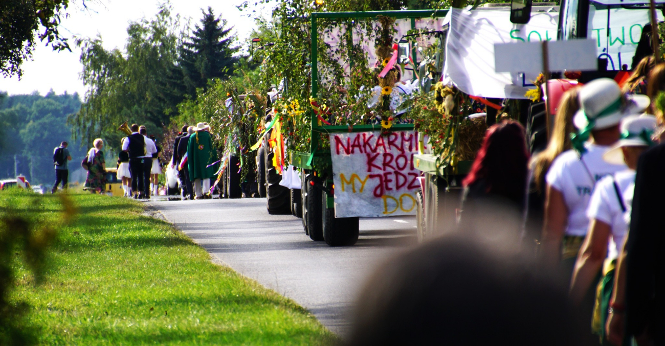 Dożynki powiatowe w obiektywie. Zobacz zdjęcia