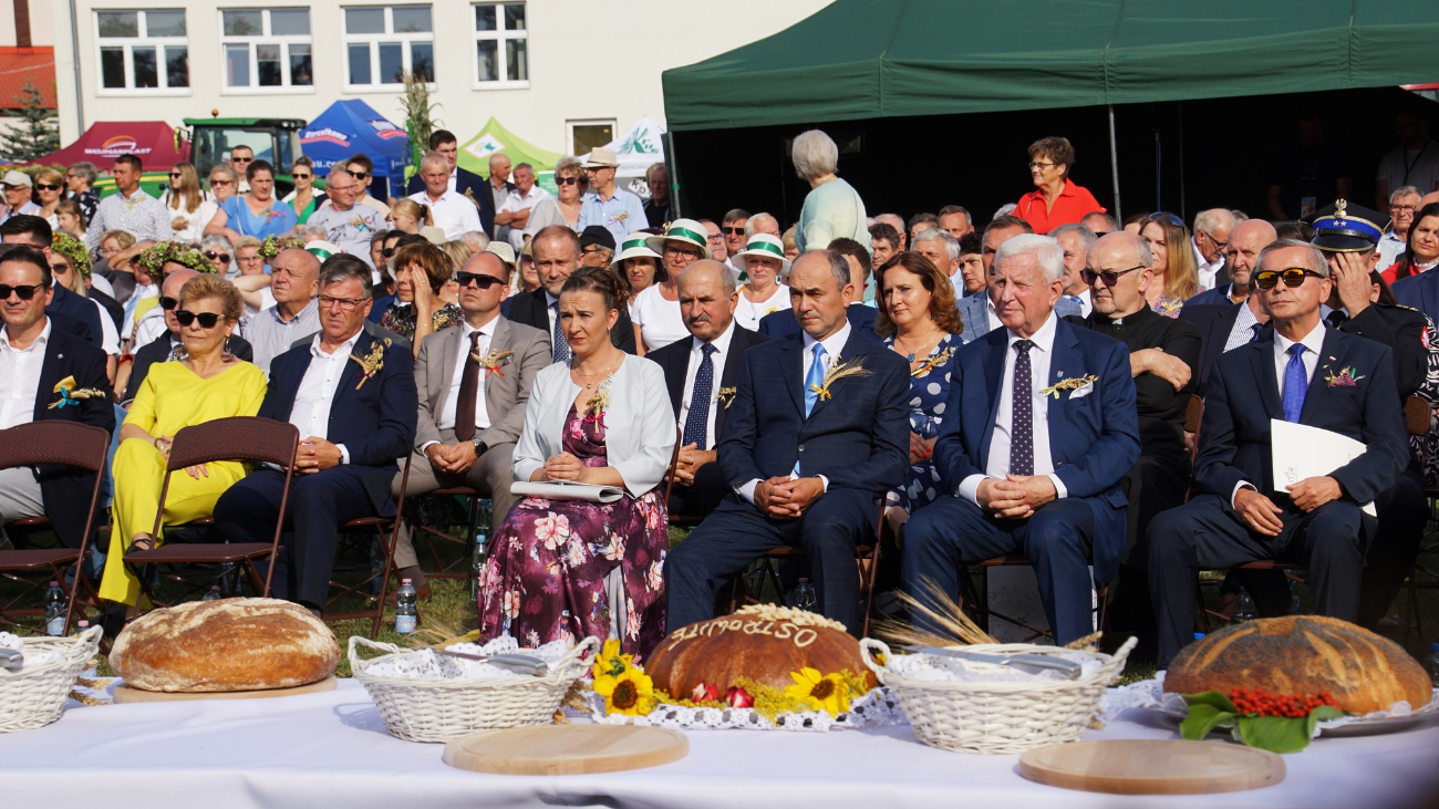 Dożynki powiatowe w obiektywie. Zobacz zdjęcia