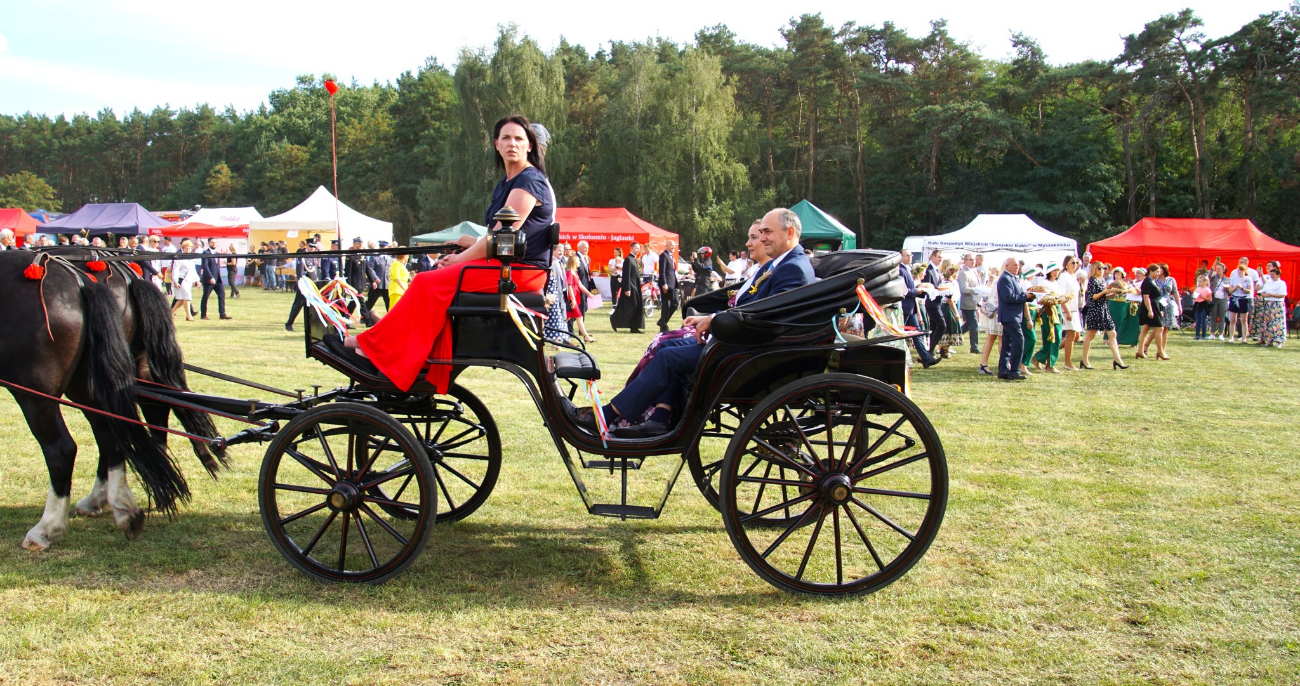 Dożynki powiatowe w obiektywie. Zobacz zdjęcia