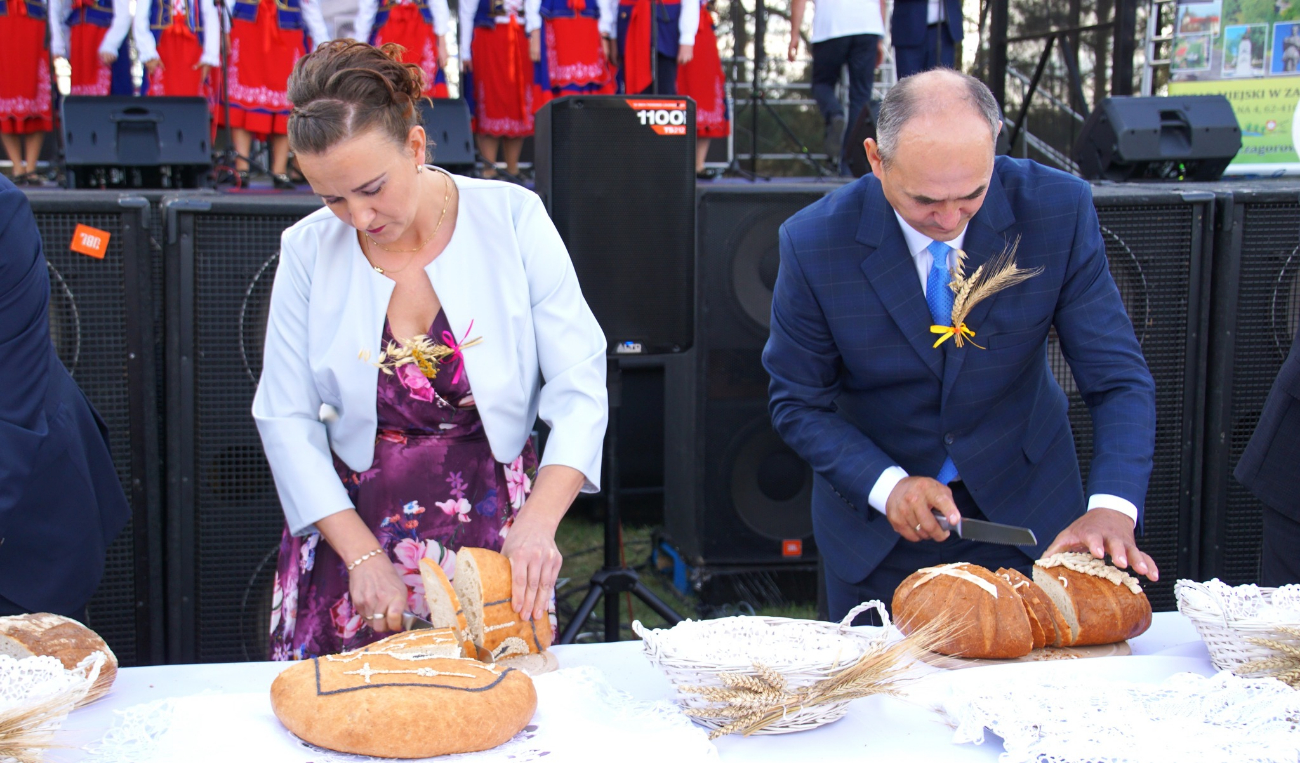 Dożynki powiatowe w obiektywie. Zobacz zdjęcia