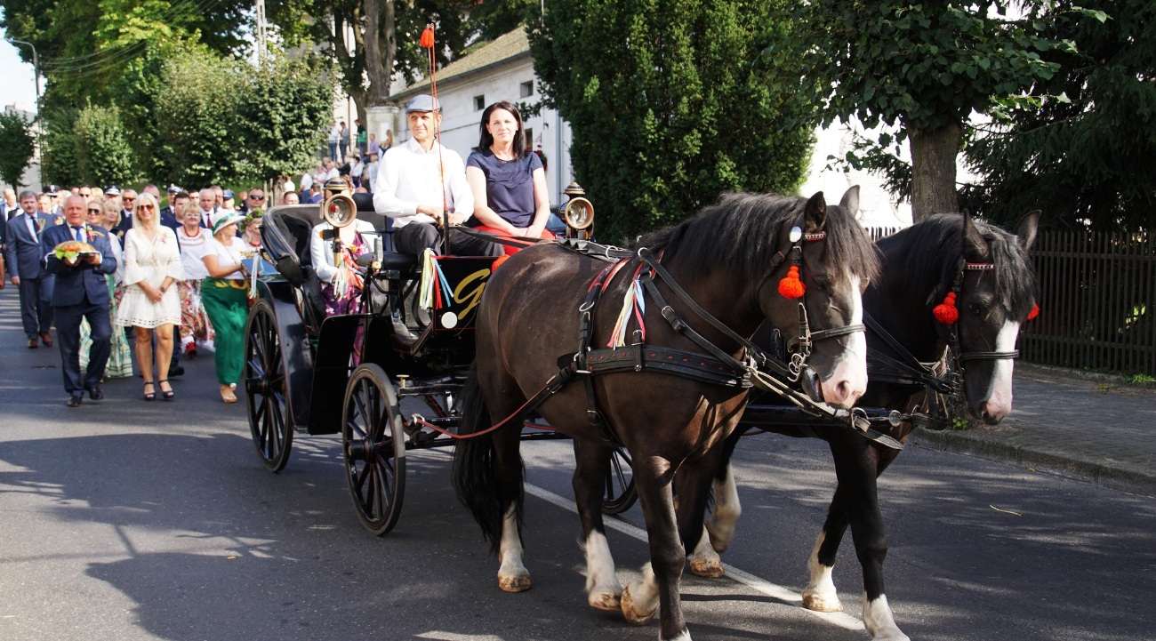 Dożynki powiatowe w obiektywie. Zobacz zdjęcia