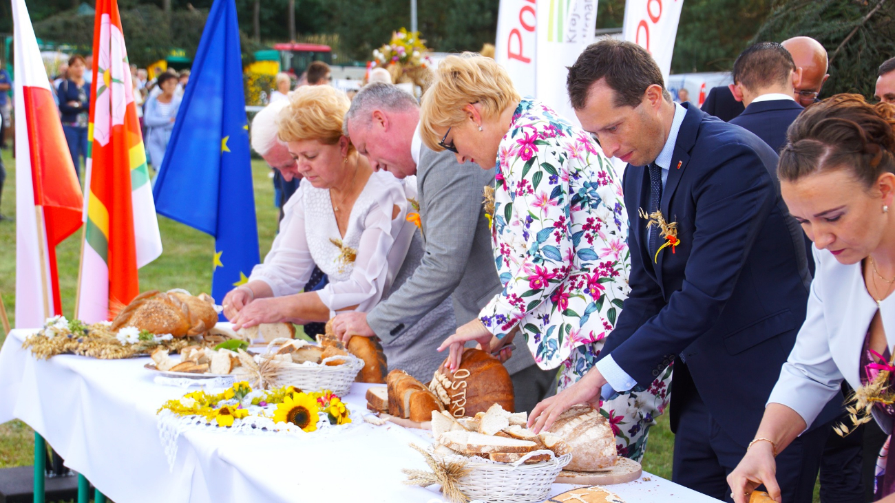Dożynki powiatowe w obiektywie. Zobacz zdjęcia