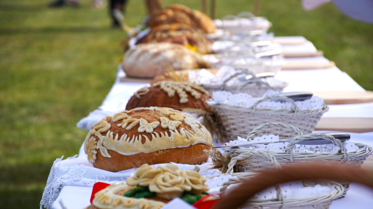 Dożynki powiatowe w obiektywie. Zobacz zdjęcia