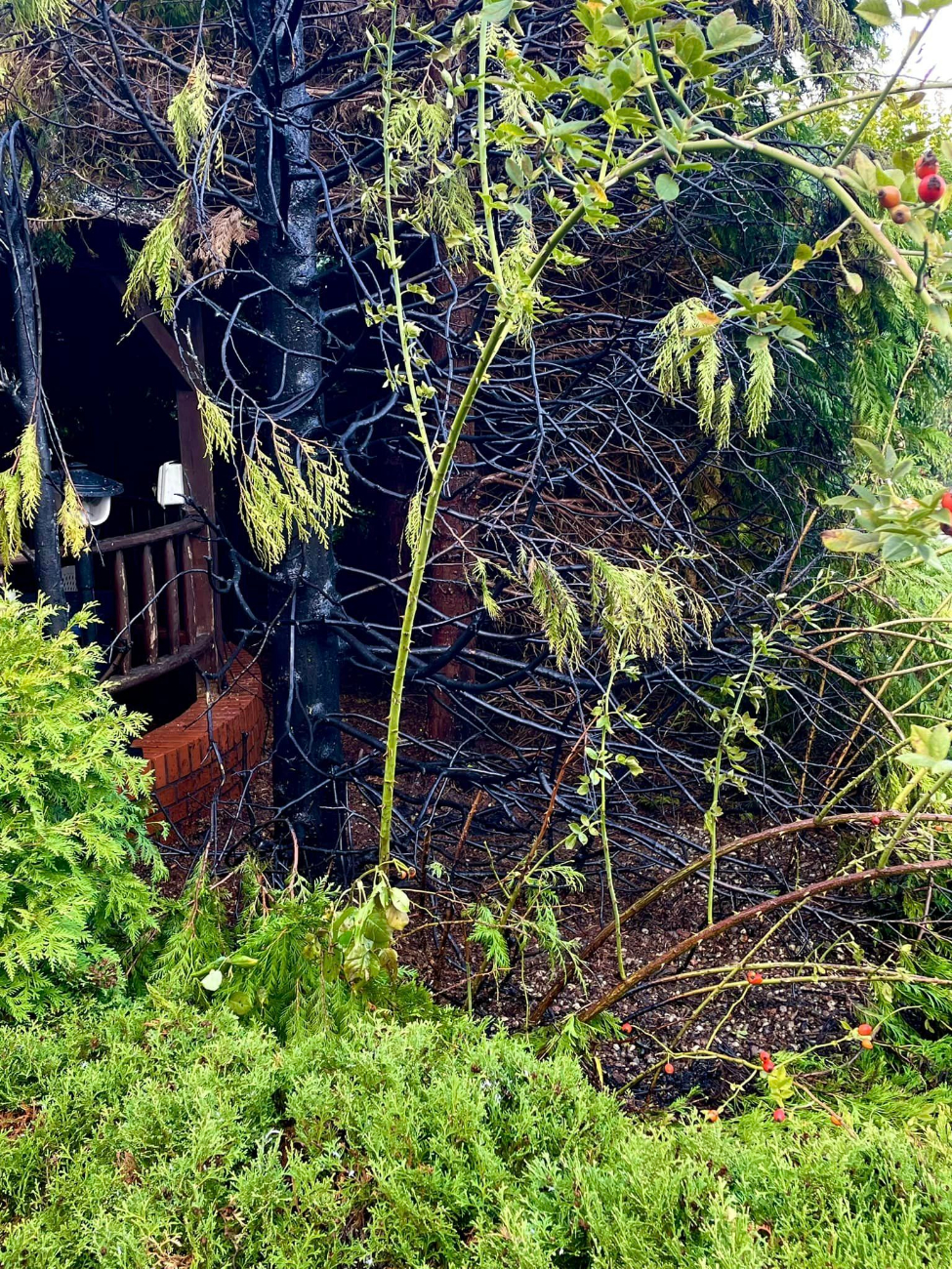 Pożar wybuchł tuż przy kościele