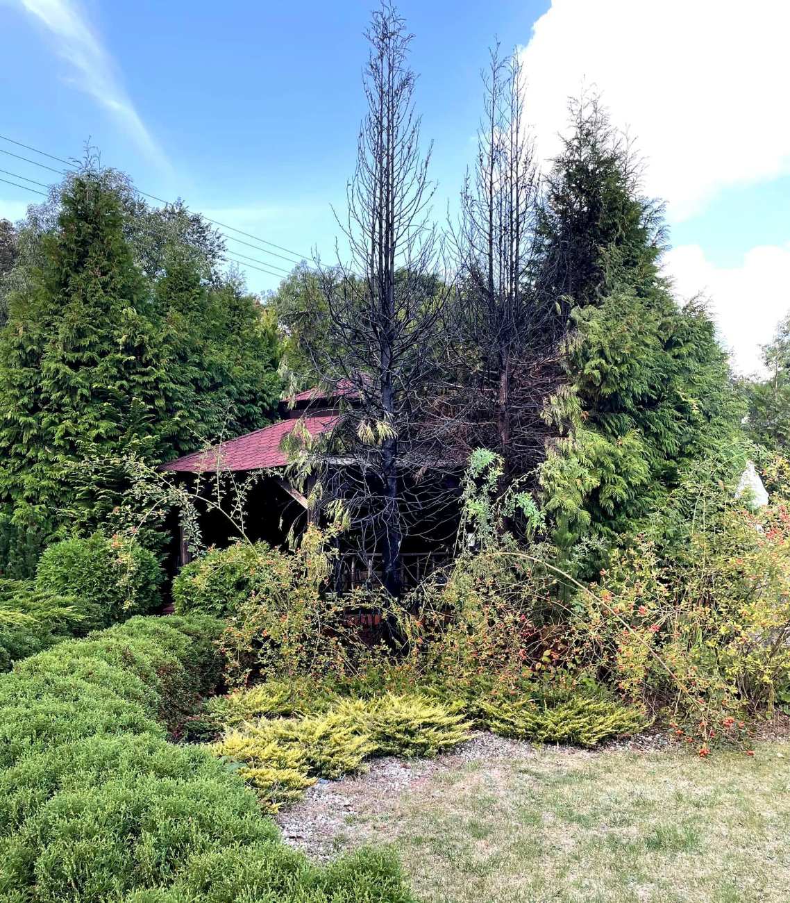 Pożar wybuchł tuż przy kościele