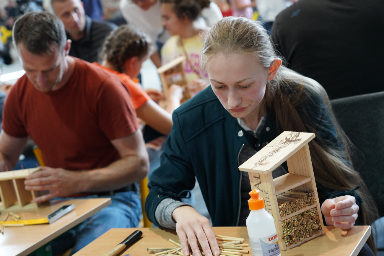 Eko Targ w Ostrowitem. Zobacz zdjęcia