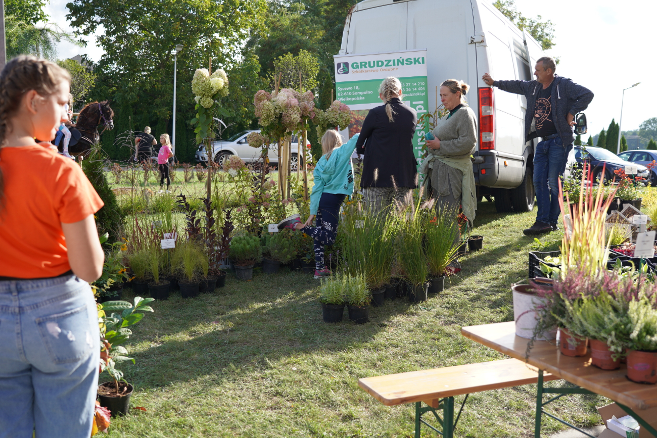 Eko Targ w Ostrowitem. Zobacz zdjęcia