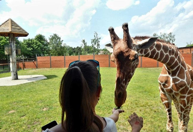 Młodzież z Powidza zwiedziła ciekawe miejsca