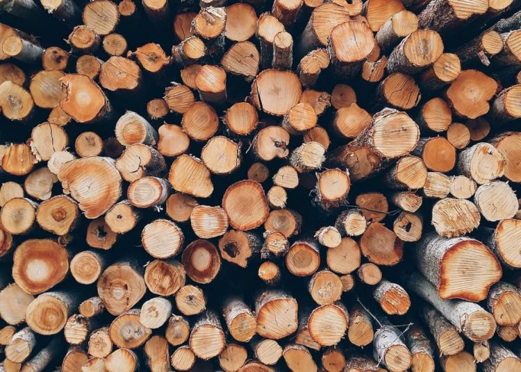 Miasto sprzedaje drewno. Czeka na oferty