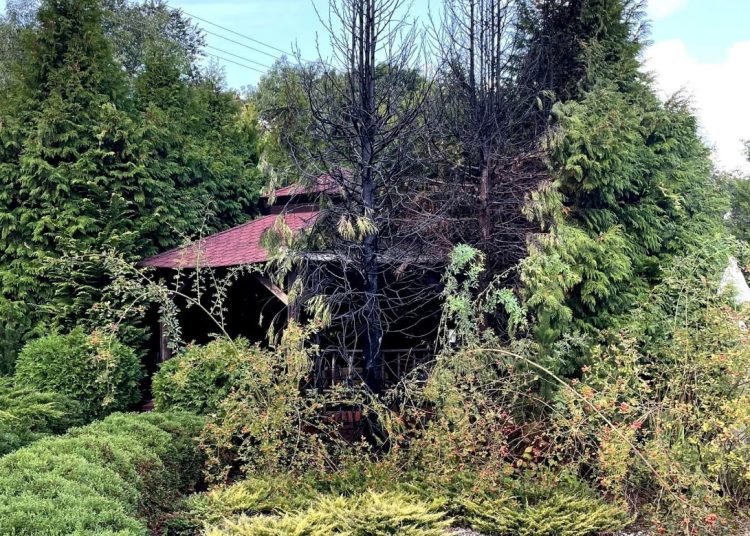 Pożar wybuchł tuż przy kościele