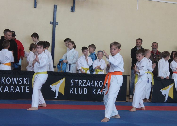 II Ogólnopolski Turniej Karate Silver Cup