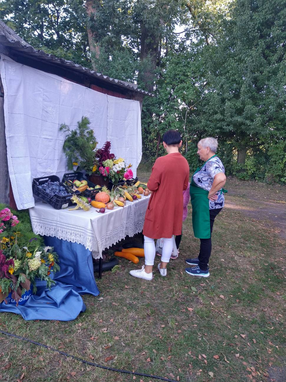 Festyn Rodzinny w Jaroszynie